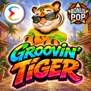Groovin Tiger